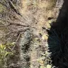 1881.com Investments - Land purchasing - Photo 9