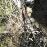 1881.com Investments - Land purchasing - Photo 10