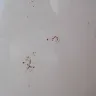 Maytag - product defective - Photo 3