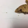 Panera Bread - unacceptable food quality