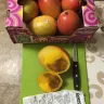 Costco - mangoes - Photo 1