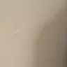 Ryan Homes - Cracks and nail pops everywhere! Still! - Photo 7