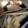 Aeromexico - my two luggages - Photo 3
