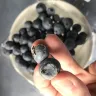 Coles Supermarkets Australia - blueberry