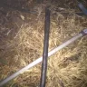 Seeff Property Group - House rental unpaid - Photo 3