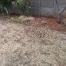 Seeff Property Group - House rental unpaid - Photo 9