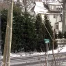 Con Edison - unprotected utility pole - Photo 1