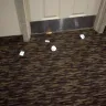 Extended Stay America - stay at extened stay in auroua - Photo 1