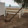 Re/Max - Paid for landscaping such a shame, got scammed! Got scammed on sale purchase of the home too from gina sullivan - Photo 5