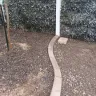 Re/Max - Paid for landscaping such a shame, got scammed! Got scammed on sale purchase of the home too from gina sullivan - Photo 10