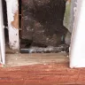 Champion Windows - patio doors and home improvement - Photo 4