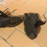 Ecco - leather boots - Photo 2