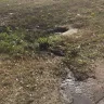 Shell - gas spill washed into storm drain - Photo 4