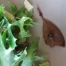 Coles Supermarkets Australia - 4 leaf salad