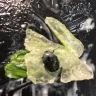 Wawa - salad - Photo 2