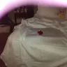 Better Homes And Gardens - sheet sets - Photo 1