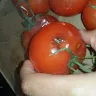 Costco - rotten vegetables and fruits - Photo 2