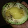 Costco - rotten vegetables and fruits - Photo 3