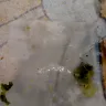 Wawa - hoagie/sub - Photo 3