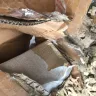 Structube - worst customer service ever, unethical, everything damaged - Photo 3