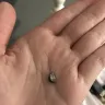Fuddruckers / Luby's Fuddruckers Restaurants - rock found in ice cream cone - Photo 1