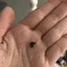 Fuddruckers / Luby's Fuddruckers Restaurants - rock found in ice cream cone - Photo 2