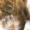 Fantastic Sams Cut & Color - hair color - Photo 3
