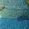 Blue World Pools - midline pool