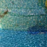 Blue World Pools - midline pool - Photo 2