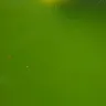 Blue World Pools - midline pool - Photo 3