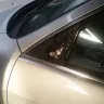 Costco - Complaint against driver Steven Guerra Hawthorne Ca Branch - Photo 5