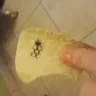 Pringles - pringles - Photo 2