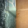 Diamond Resorts - my horrific experience - Photo 1