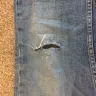 Calvin Klein - holes in my jeans