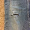 Calvin Klein - holes in my jeans - Photo 1