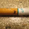 Camel - camel menthol cigs