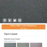SCS - carpet