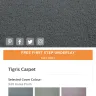 SCS - carpet - Photo 1
