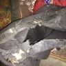 Etihad Airways - late baggage and my bag was damaged - Photo 2