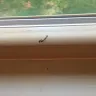 Lowe's - windows installation - Photo 3