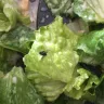 Costco - salad at the food court - Photo 1