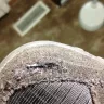 Skechers USA - defective seam in toe of shoe - Photo 1