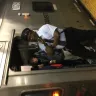 NJ Transit - nj transit conductor - Photo 1