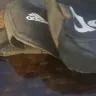 Adidas - waist bag - Photo 2