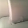 Frigidaire - refrigerator - Photo 1