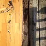 Pella - pella door and installation - Photo 2