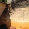 Pella - pella door and installation - Photo 3