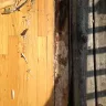 Pella - pella door and installation - Photo 4