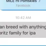 IPA aka International Pomsky Association - Fraud