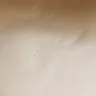 Choice Hotels - clarion suites savannah (ga 297) bed bugs - Photo 2